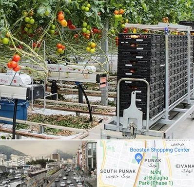 فروش تجهیزات گلخانه در پونک 