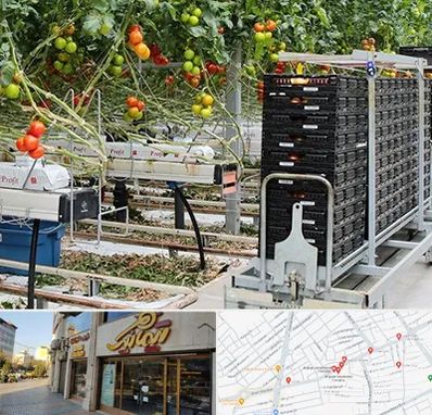 فروش تجهیزات گلخانه در عطاران قم