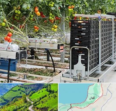 فروش تجهیزات گلخانه در گیلان