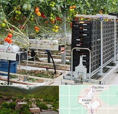 فروش تجهیزات گلخانه در کلاله