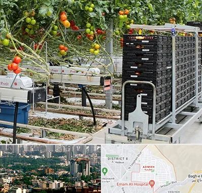 فروش تجهیزات گلخانه در عظیمیه کرج 