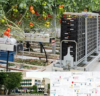 فروش تجهیزات گلخانه در طالقانی 