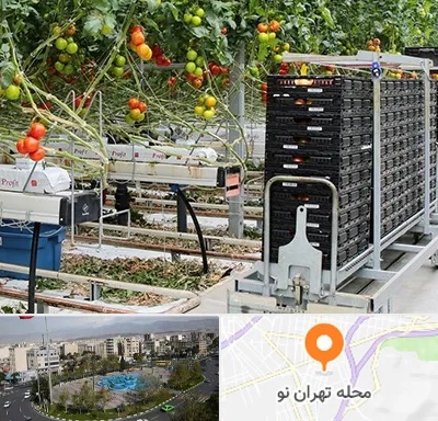 فروش تجهیزات گلخانه در تهران نو