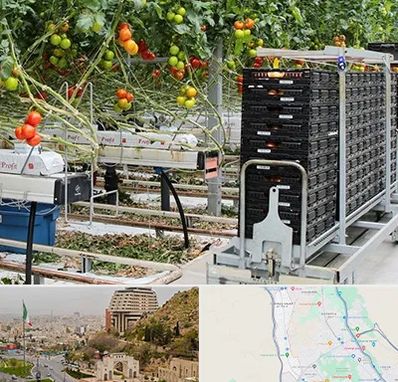 فروش تجهیزات گلخانه در فرهنگ شهر شیراز 