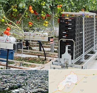 فروش تجهیزات گلخانه در شاهرود