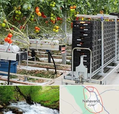 فروش تجهیزات گلخانه در نهاوند