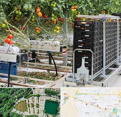 فروش تجهیزات گلخانه در وکیل آباد مشهد 