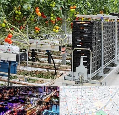 فروش تجهیزات گلخانه در منظریه رشت 