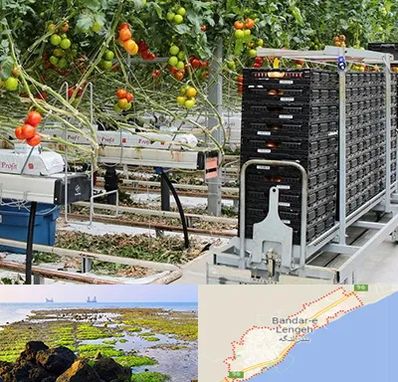 فروش تجهیزات گلخانه در بندرلنگه