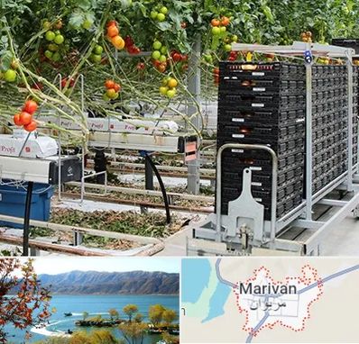 فروش تجهیزات گلخانه در مریوان