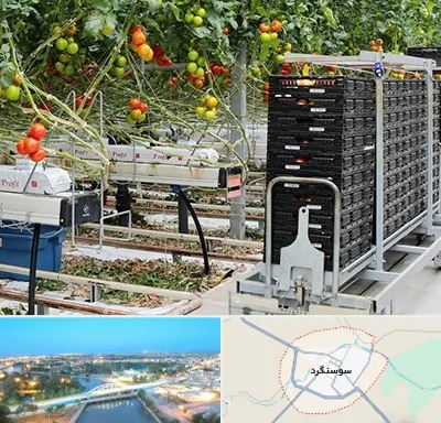 فروش تجهیزات گلخانه در سوسنگرد
