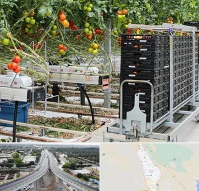 فروش تجهیزات گلخانه در اندیمشک