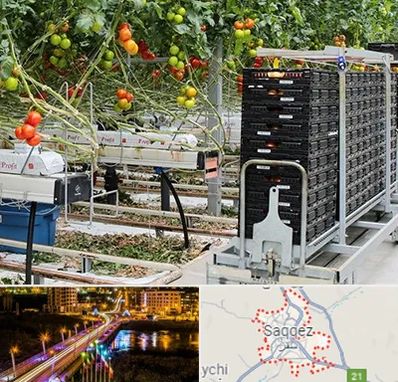 فروش تجهیزات گلخانه در سقز