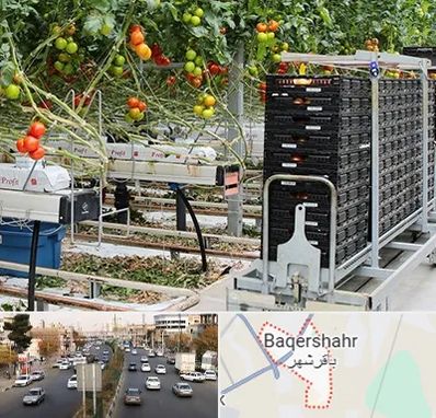 فروش تجهیزات گلخانه در باقرشهر