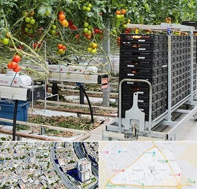 فروش تجهیزات گلخانه در قاسم آباد مشهد 