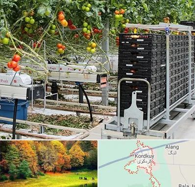 فروش تجهیزات گلخانه در کردکوی