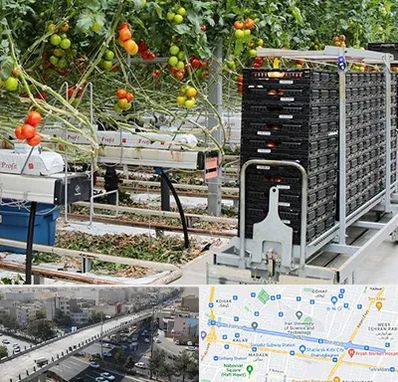 فروش تجهیزات گلخانه در فرجام 