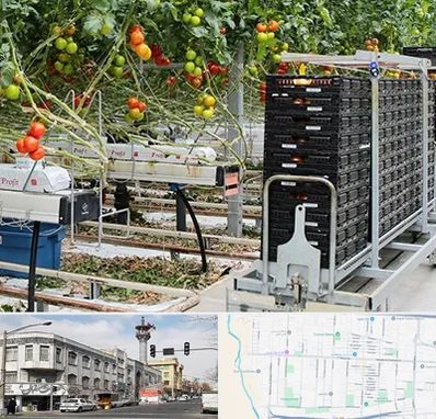 فروش تجهیزات گلخانه در 17شهریور