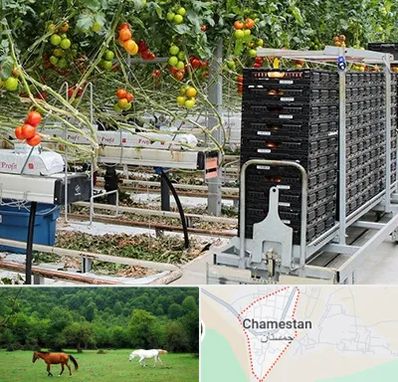 فروش تجهیزات گلخانه در چمستان