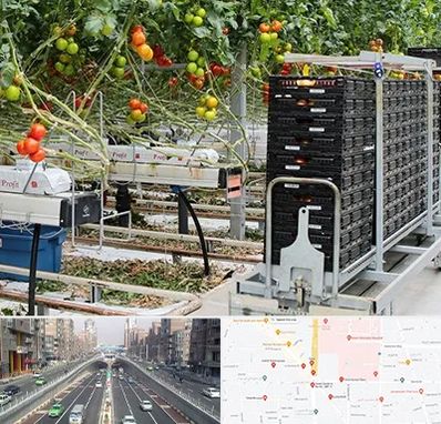 فروش تجهیزات گلخانه در توحید 