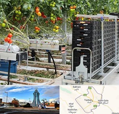 فروش تجهیزات گلخانه در تایباد