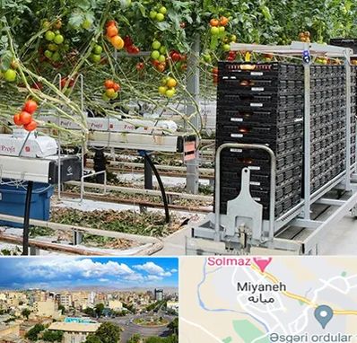 فروش تجهیزات گلخانه در میانه