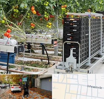 فروش تجهیزات گلخانه در خیابان فلسطین