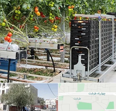 فروش تجهیزات گلخانه در طرشت