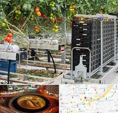 فروش تجهیزات گلخانه در میدان ولیعصر 