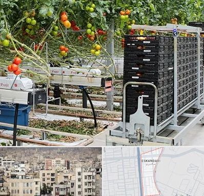 فروش تجهیزات گلخانه در اسکندری