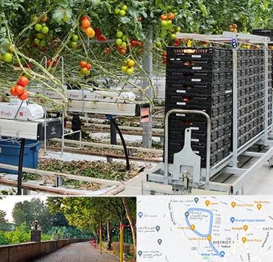 فروش تجهیزات گلخانه در فلکه گاز رشت 