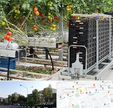 فروش تجهیزات گلخانه در میدان کاج 