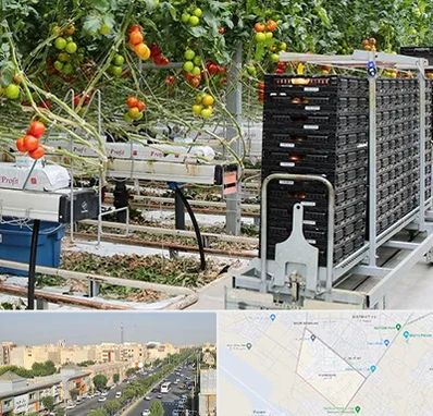 فروش تجهیزات گلخانه در کیانمهر کرج 