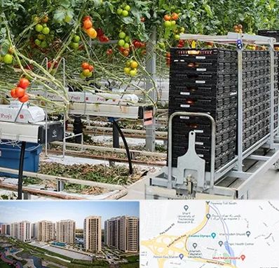 فروش تجهیزات گلخانه در المپیک 