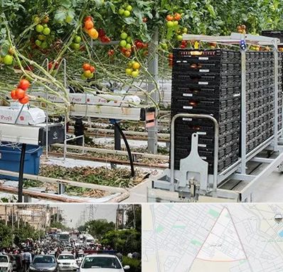 فروش تجهیزات گلخانه در سیدی مشهد