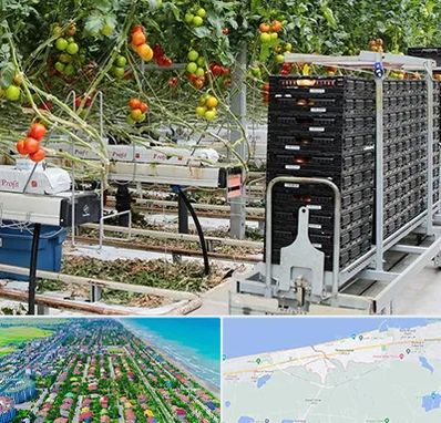 فروش تجهیزات گلخانه در فریدونکنار