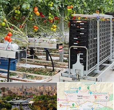 فروش تجهیزات گلخانه در منطقه 1 تهران 