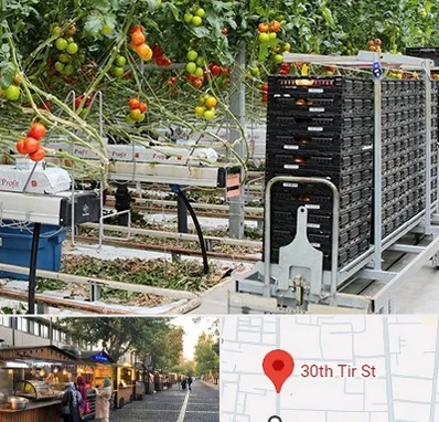 فروش تجهیزات گلخانه در سی تیر