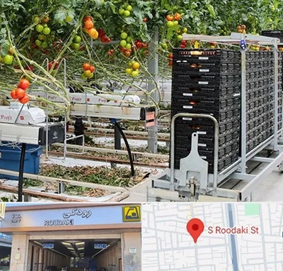 فروش تجهیزات گلخانه در رودکی