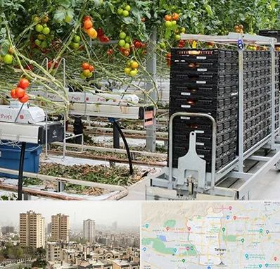 فروش تجهیزات گلخانه در منطقه 5 تهران 