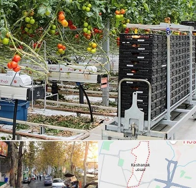 فروش تجهیزات گلخانه در کاشانک