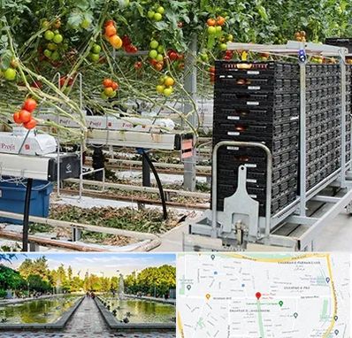 فروش تجهیزات گلخانه در سرسبز 