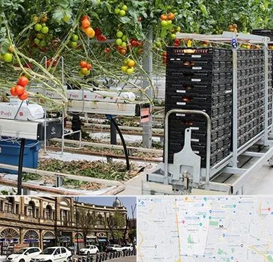 فروش تجهیزات گلخانه در منطقه 11 تهران 