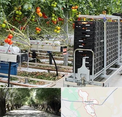 فروش تجهیزات گلخانه در باغستان