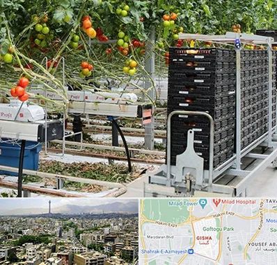 فروش تجهیزات گلخانه در گیشا 