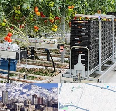 فروش تجهیزات گلخانه در ازگل