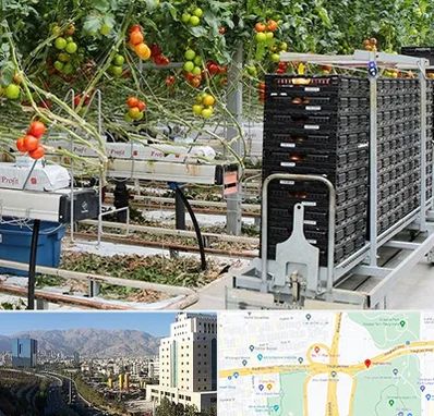 فروش تجهیزات گلخانه در حقانی 