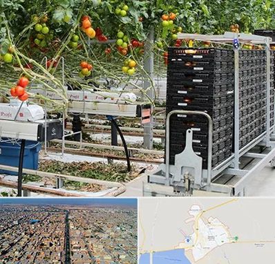 فروش تجهیزات گلخانه در بندر ماهشهر