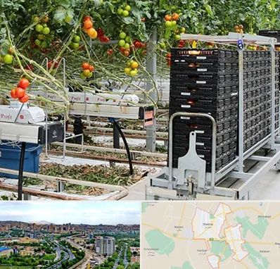 فروش تجهیزات گلخانه در شهریار