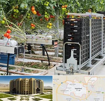 فروش تجهیزات گلخانه در نجف آباد